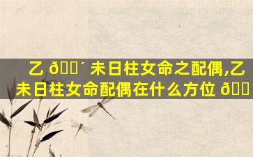 乙 🐴 未日柱女命之配偶,乙未日柱女命配偶在什么方位 🐴